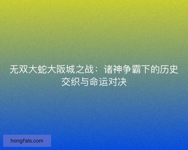 无双大蛇大阪城之战：诸神争霸下的历史交织与命运对决
