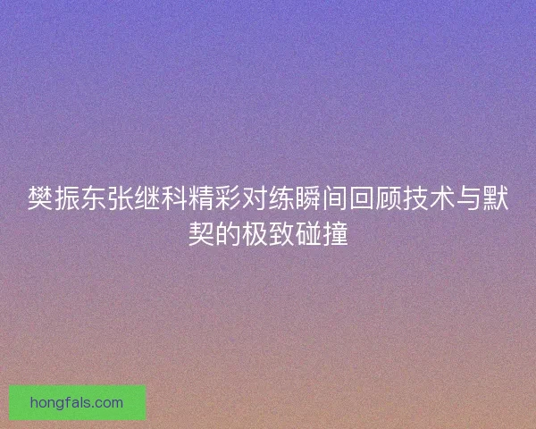 樊振东张继科精彩对练瞬间回顾技术与默契的极致碰撞